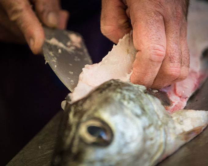 Gros plan sur le geste du cuisinier levant les filets du poisson pêché en mer d'Iroise
